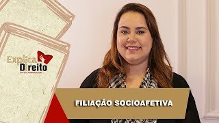 Explica Direito Filiação Socioafetiva  2019 [upl. by Guillema]