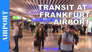 TRANSIT WALK AT FRANKFURT Airport FRA Terminal 1  Connection Flight Transfer Arriving amp Departing [upl. by Aerdnod]